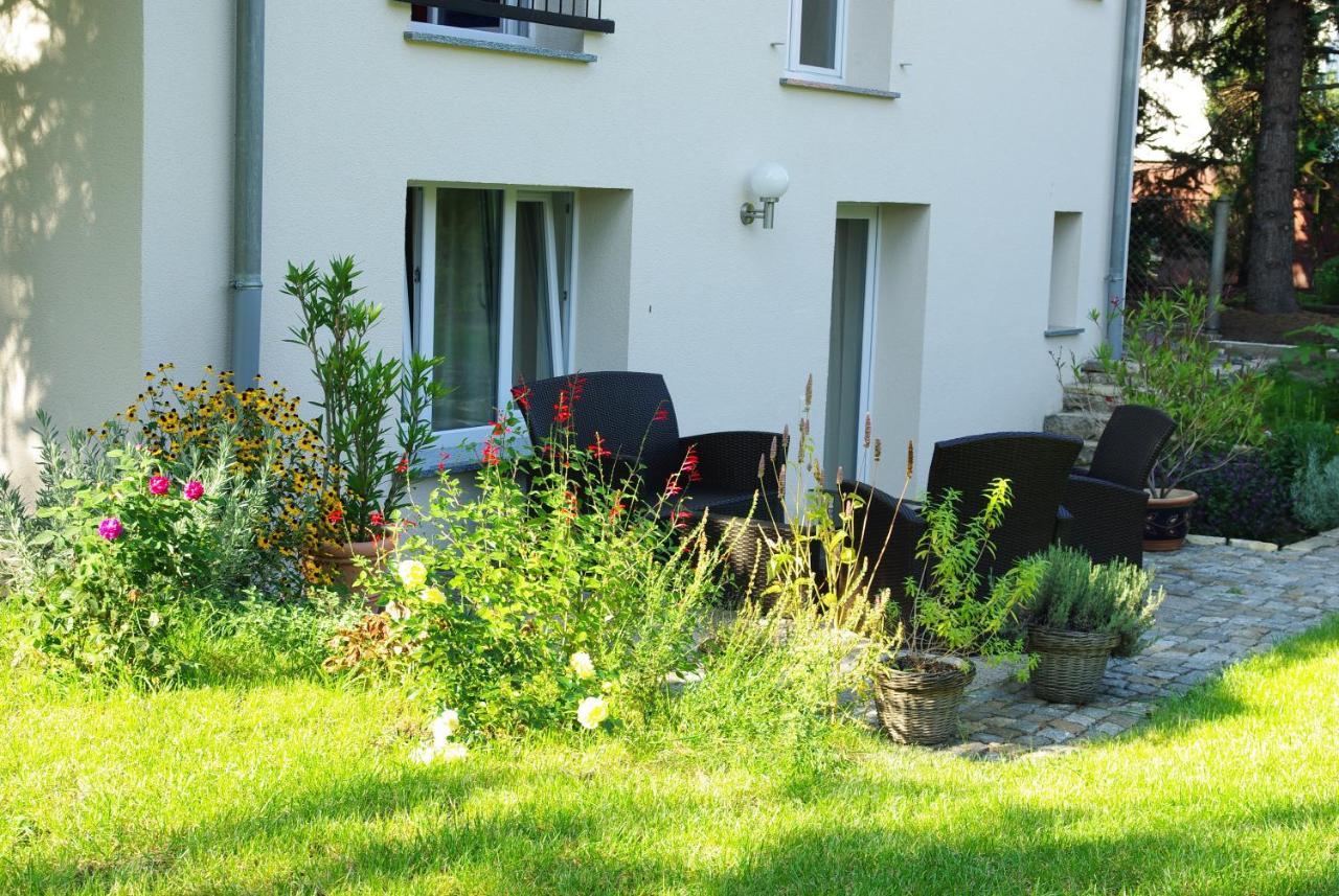 Neu Eingerichtetes Apartment #1 Mit Wlan !Sauna & Hot Tub Zubuchbar! Senftenberg Bagian luar foto